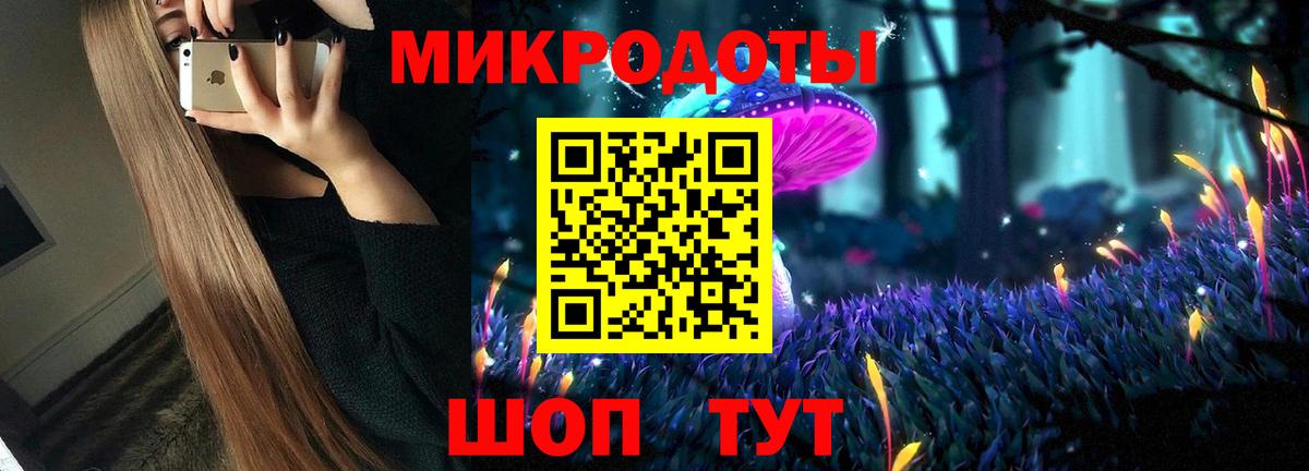 Псилоцибиновые грибы Psilocybe Дмитров