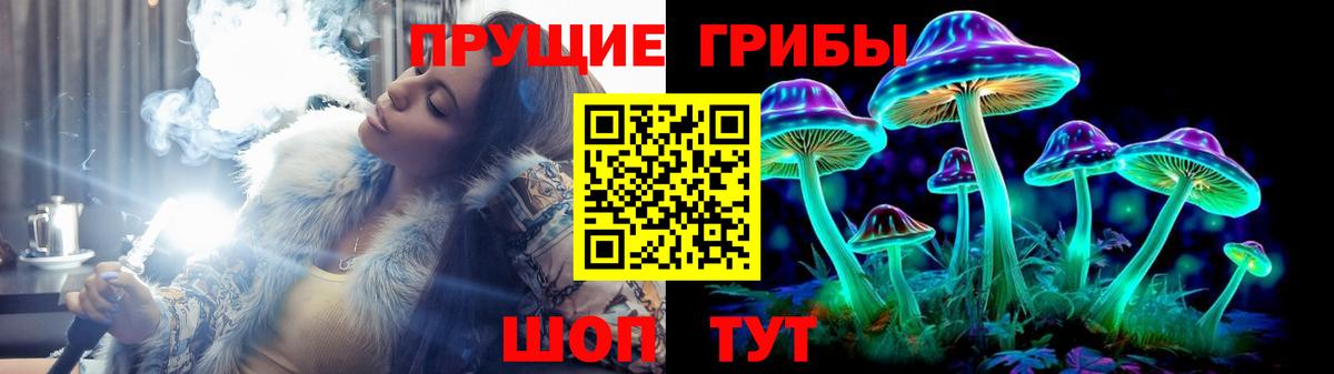 Псилоцибиновые грибы MAGIC MUSHROOMS  цена наркотик  Дмитров  Вход с VPN  Галлюциногенные грибы MAGIC MUSHROOMS 
